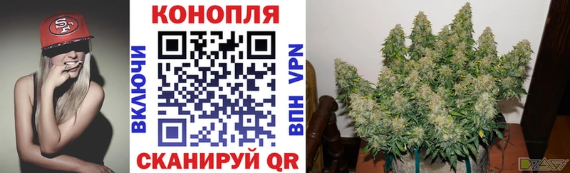 Как найти закладки Козьмодемьянск АМФЕТАМИН  Меф мяу мяу  Псилоцибиновые грибы  Канабис  Героин  ГАШИШ 