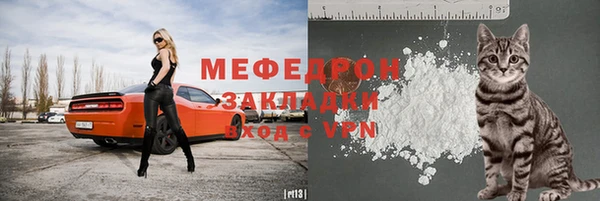 сатива Кулебаки