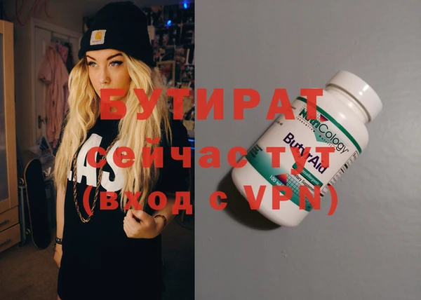сатива Кулебаки