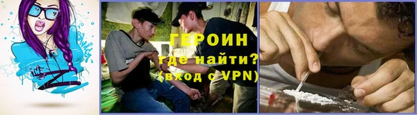 сатива Кулебаки
