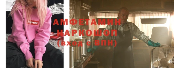 сатива Кулебаки