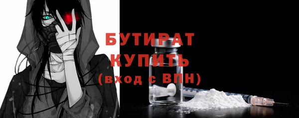 сатива Кулебаки
