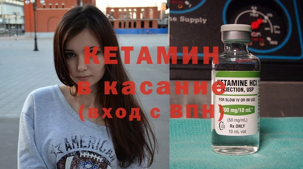 сатива Кулебаки